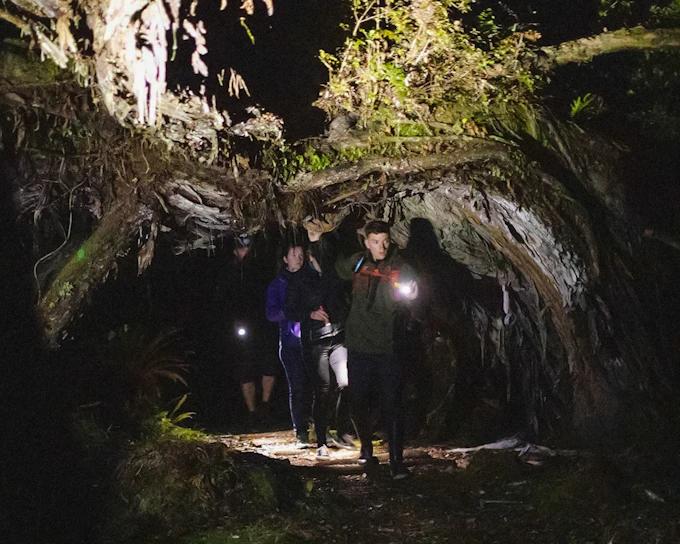 Stewart Island Wild Kiwi Encounter