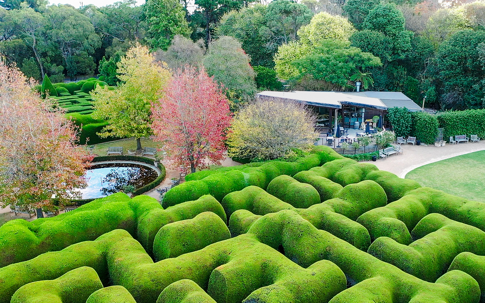 Aerial view of Aschombe Maze with lush hedges and a pond in the Lavender Gardens.