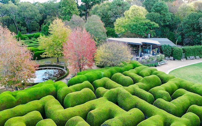 Aerial view of Aschombe Maze with lush hedges and a pond in the Lavender Gardens.