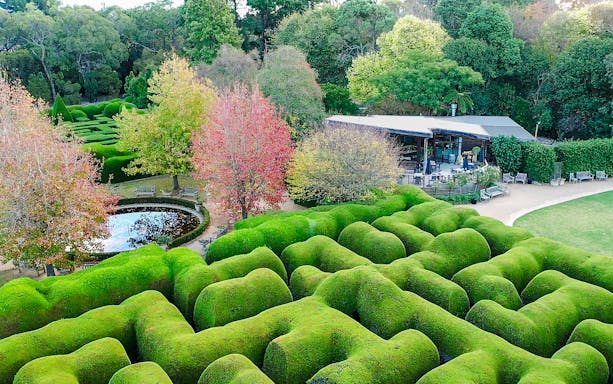 Aerial view of Aschombe Maze with lush hedges and a pond in the Lavender Gardens.