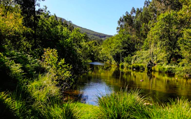River and lush greenery in the mountains near Porto on a 4x4 Jeep tour.