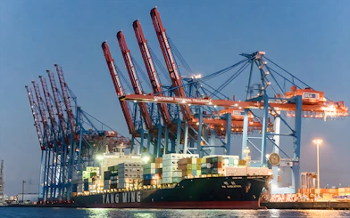 Large ship docked at Container Terminal Tollerort during evening lights cruise.