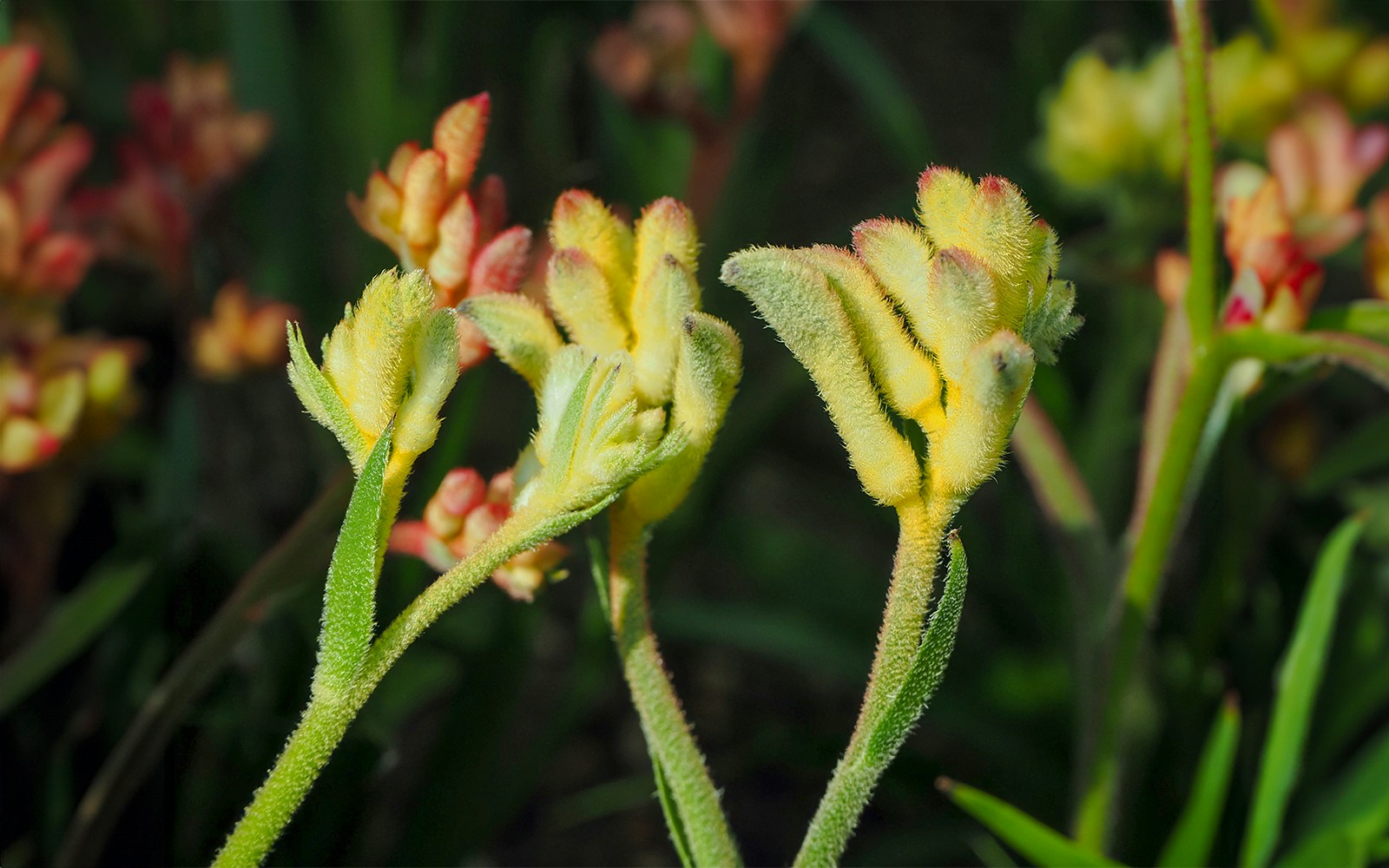 ArtScience Museum Future World