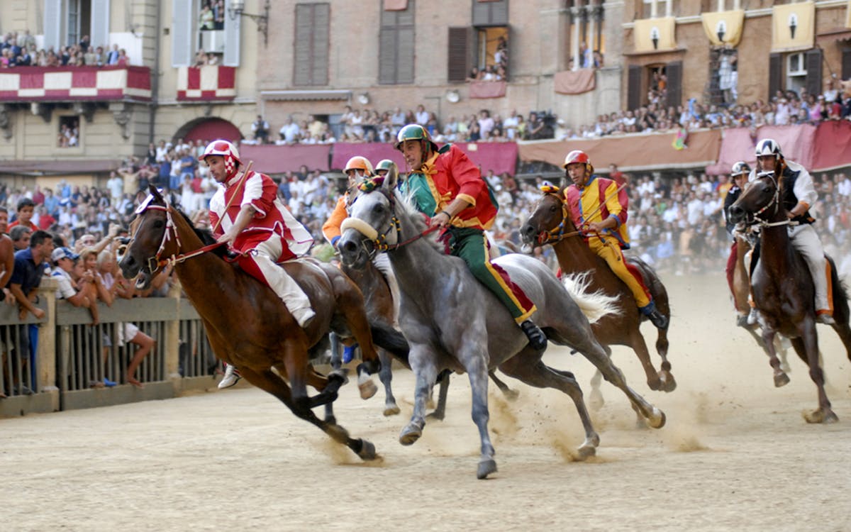 tour de siena, san gimignano, monteriggioni e degustação de vinhos chianti saindo de florença-4 tour de siena, san gimignano, monteriggioni e degustação de vinhos chianti saindo de florença-4