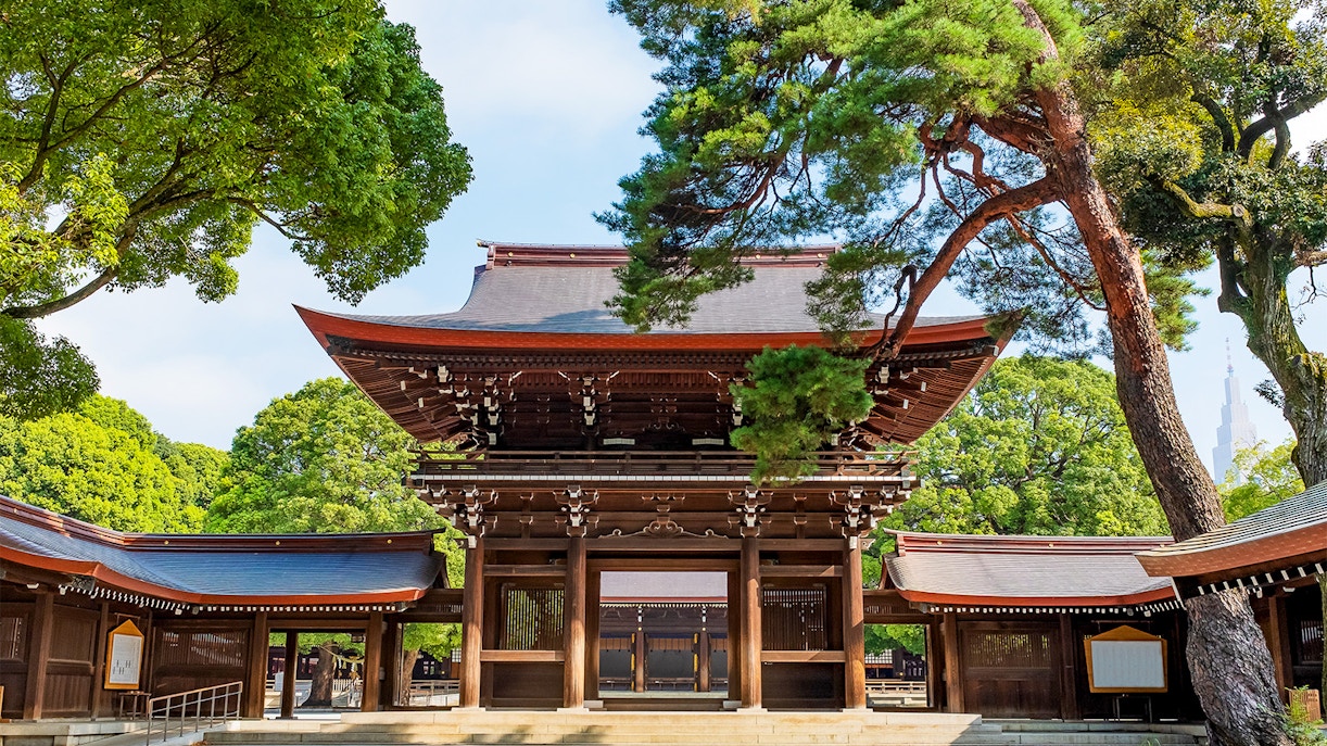 Meiji Shrine entrance surrounded by trees in Tokyo.