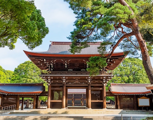 Meiji Shrine entrance surrounded by trees in Tokyo.
