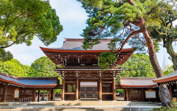 Meiji Shrine entrance surrounded by trees in Tokyo.