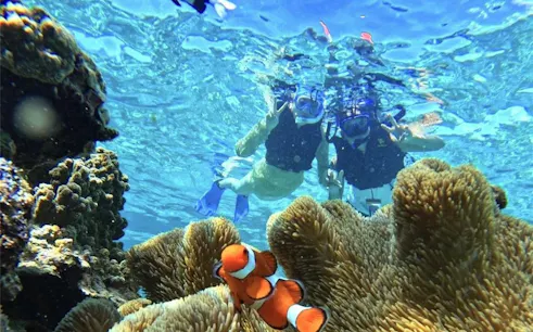 Snorkelers exploring coral reef with clownfish, Miyako Island, Okinawa.