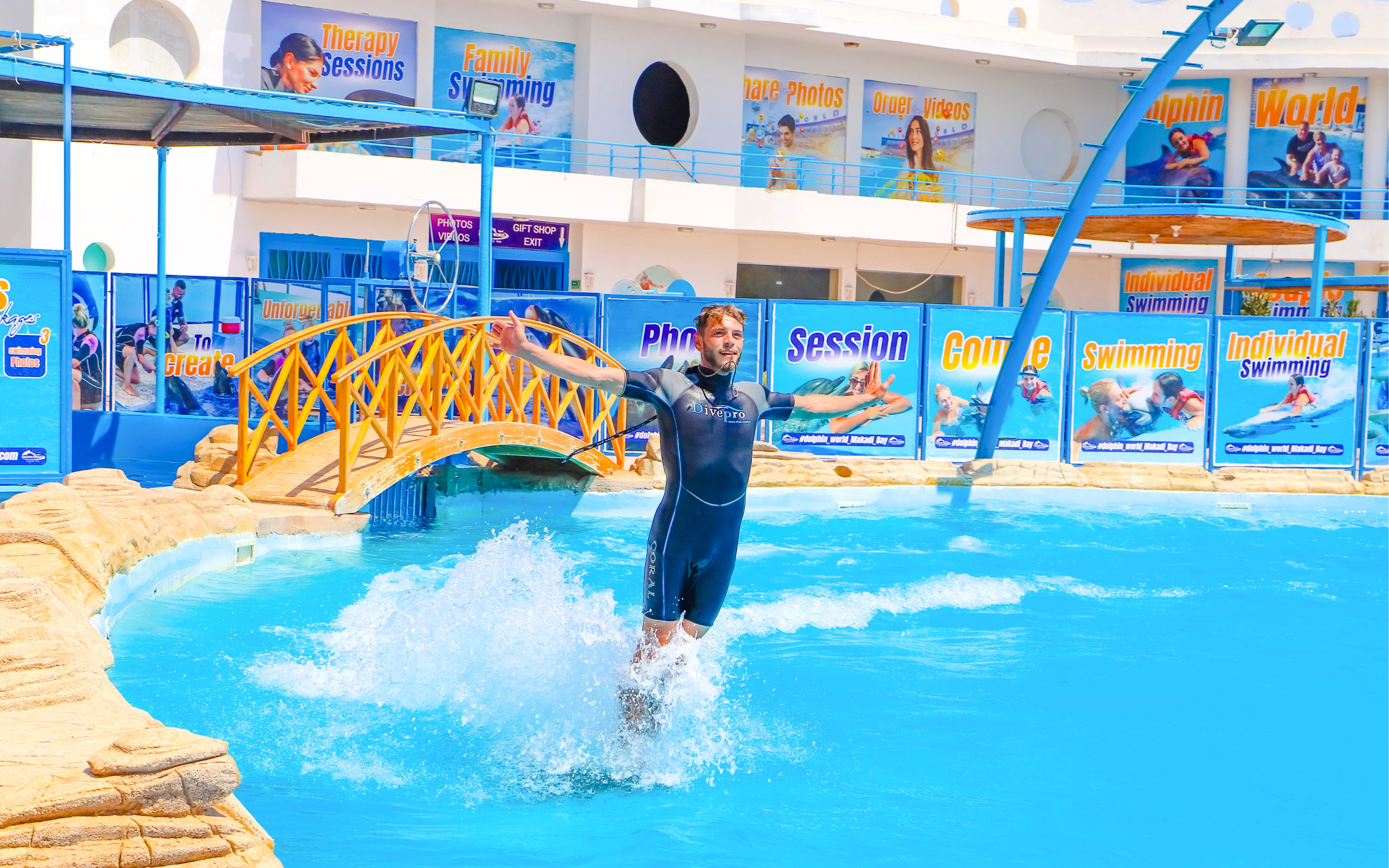 Trainer performing at dolphin show in Hurghada.