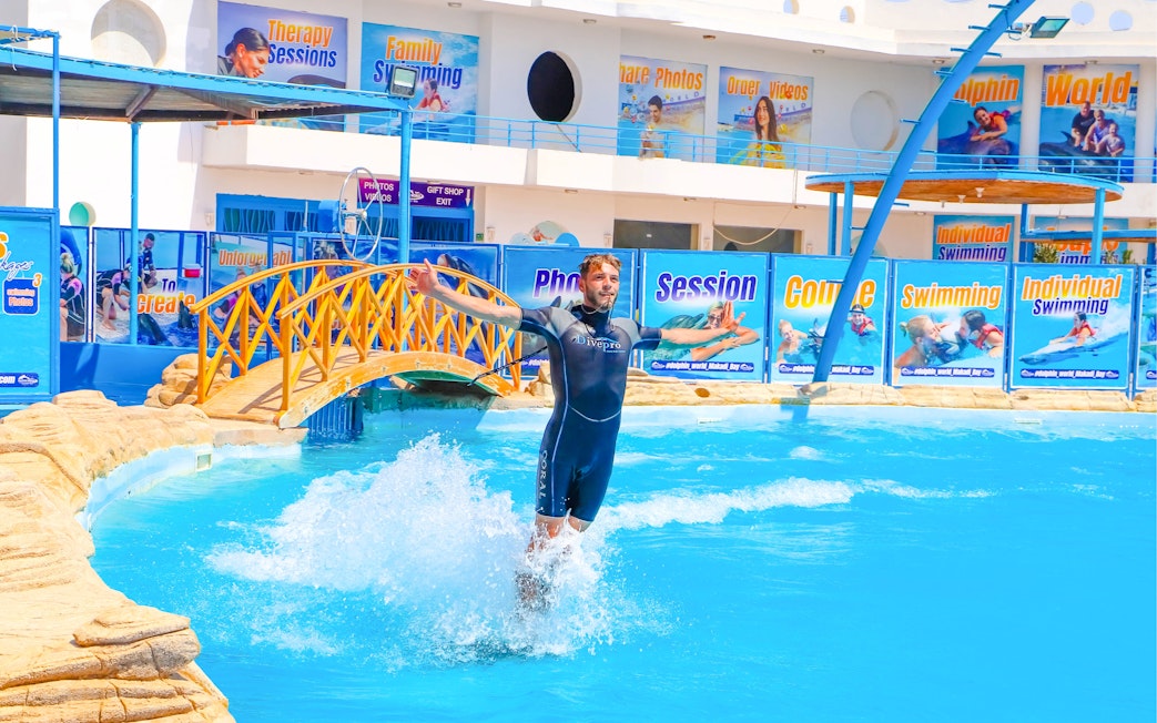 Trainer performing at dolphin show in Hurghada.