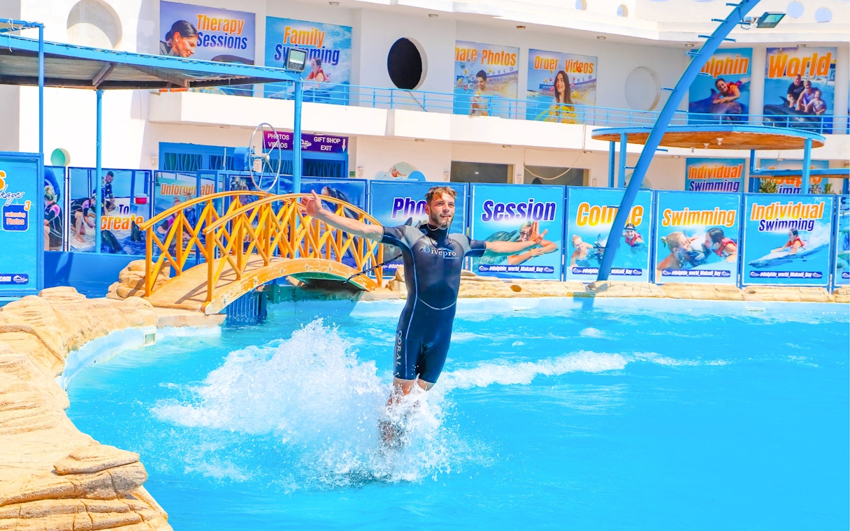 Trainer performing at dolphin show in Hurghada.