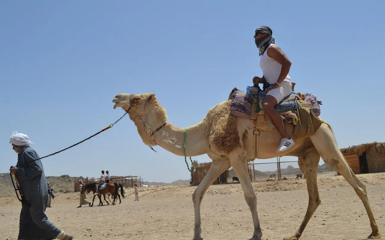 premium 2 saatlik deve binme turu: muhteşem çöl ve deniz - hurghada-10
