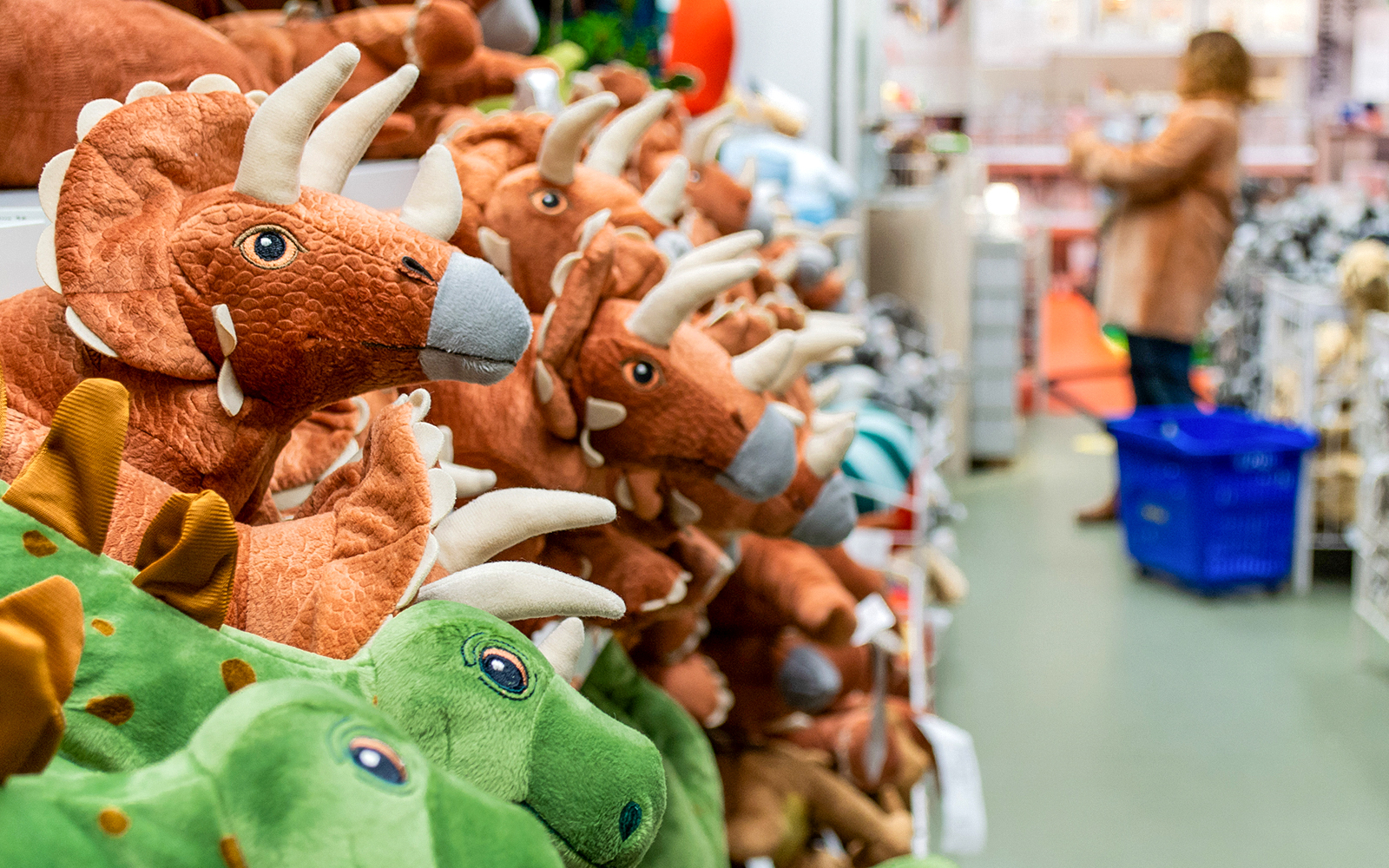 Gift shop at  American Museum of Natural History