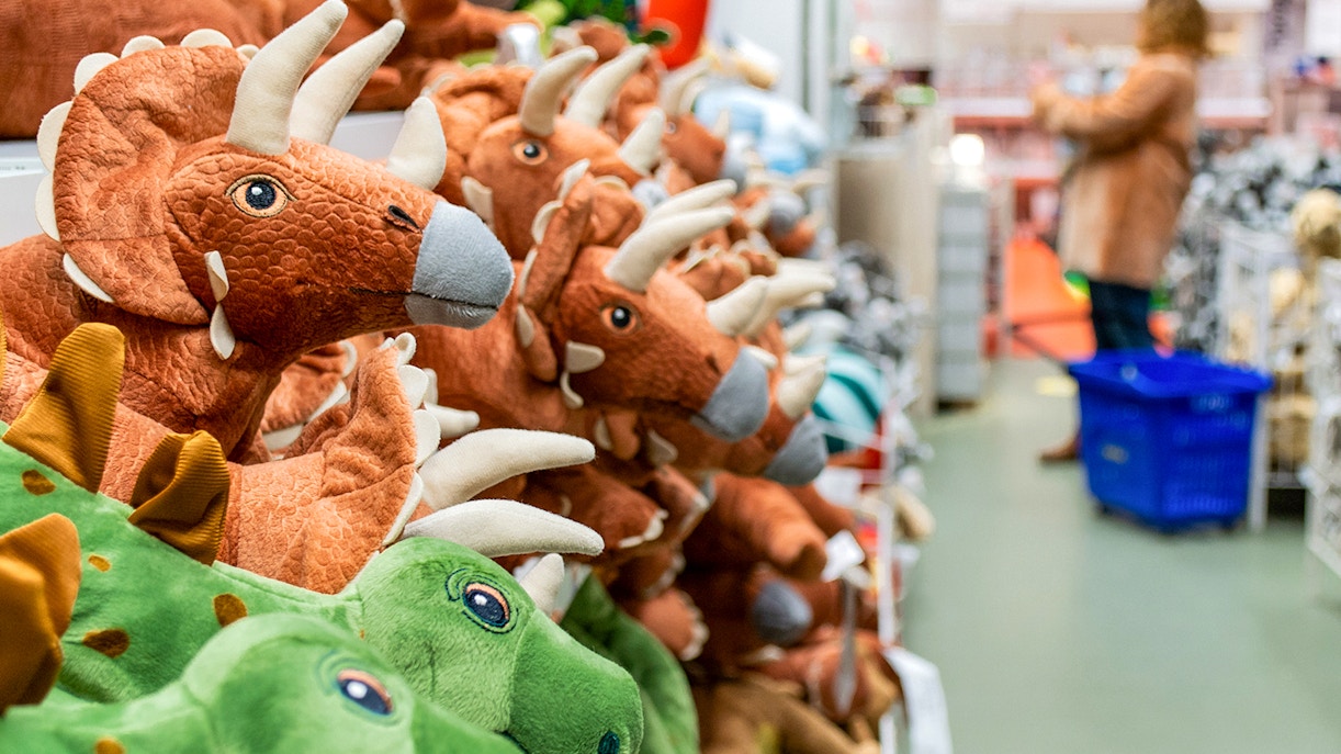 Gift shop at American Museum of Natural History