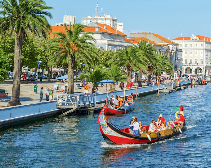 Aveiro Half-Day Guided Tour with Moliceiro Cruise