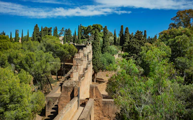 Castle walls of Gibralfaro fortress surrounded by trees in Malaga, Spain.