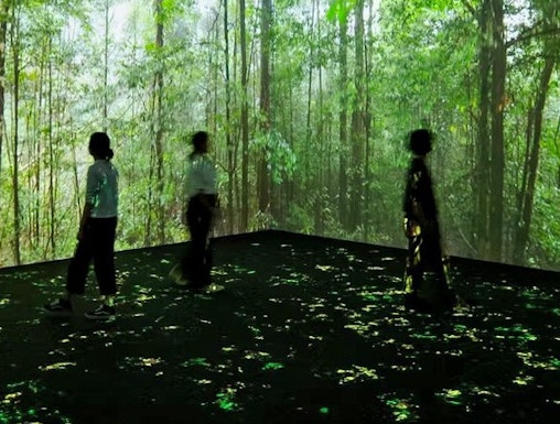 Visitors exploring immersive rainforest exhibit at Vivid: Immerse Your Senses, California Academy of Sciences.