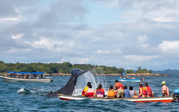 Tourists in a boat watching a whale tail on Terceira Island.
