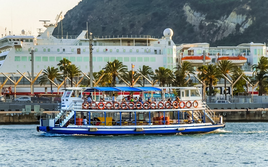Las Golondrinas boat cruising near a harbor with palm trees and a large ship in the background.