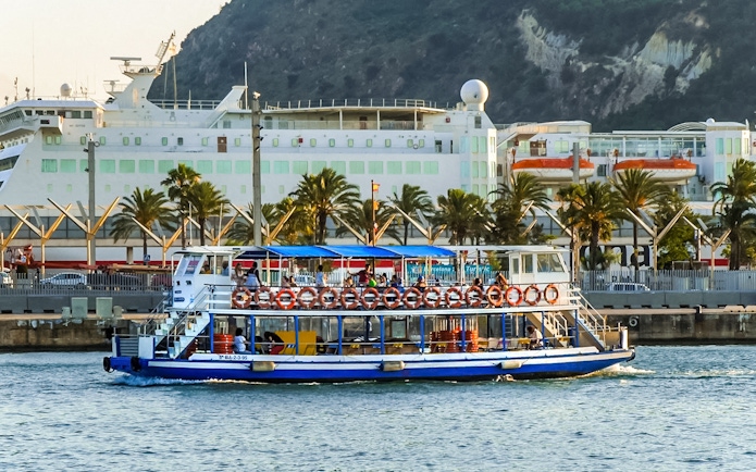 Las Golondrinas boat cruising near a harbor with palm trees and a large ship in the background.