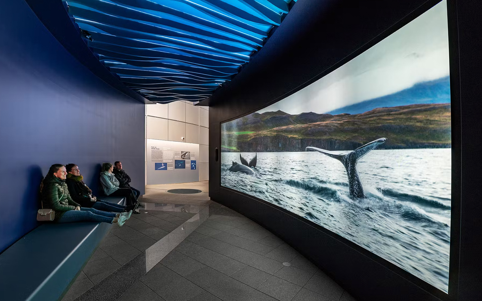 Oceanic Adventure at Perlan Museum