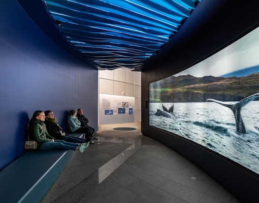 Oceanic Adventure at Perlan Museum