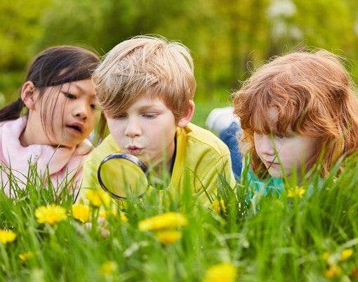 Botanical garden path with blooming flowers in Milan during April treasure hunt.