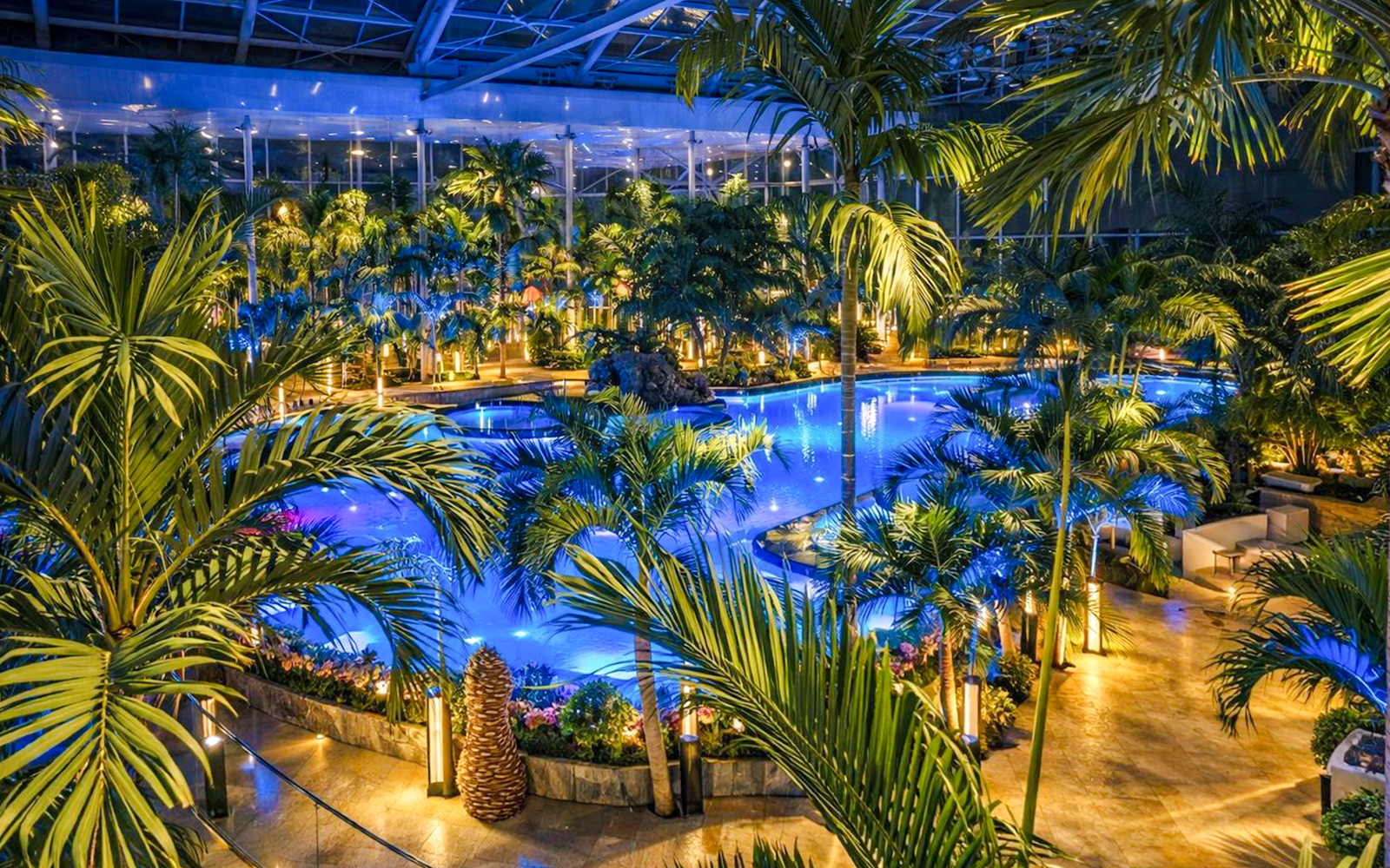 Therme Bucharest indoor pool surrounded by palm trees at night.