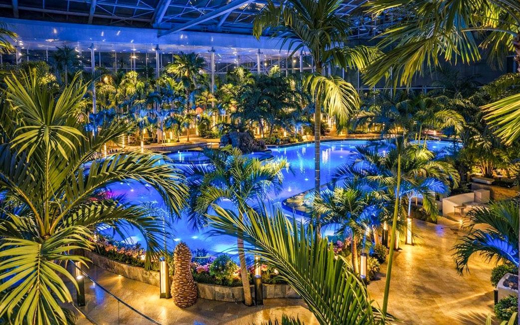 Therme Bucharest indoor pool surrounded by palm trees at night.