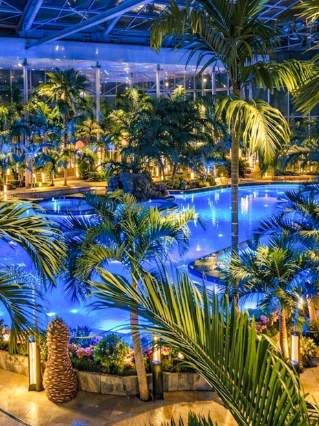 Therme Bucharest indoor pool surrounded by palm trees at night.