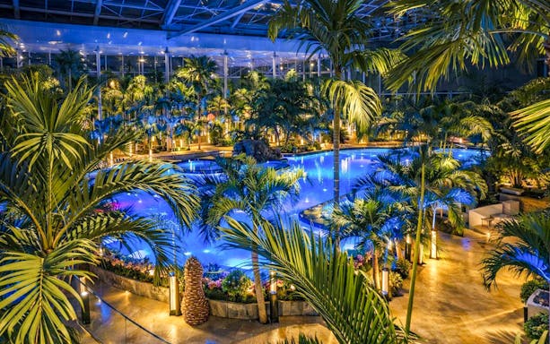 Therme Bucharest indoor pool surrounded by palm trees at night.