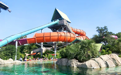 Waterslide at Aquatica San Antonio with people enjoying the pool below.