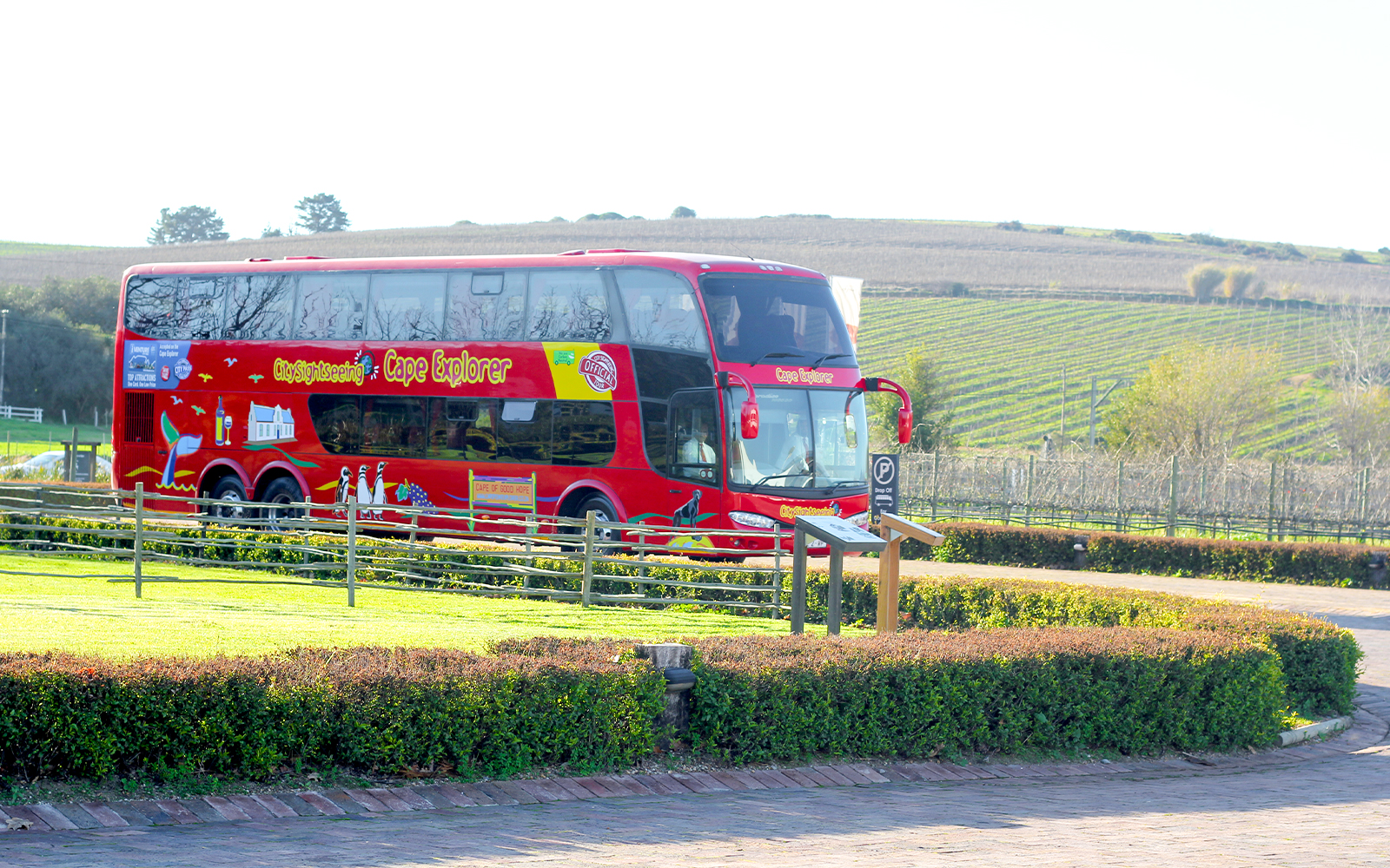 Red double-decker sightseeing bus in Cape Town vineyard setting.