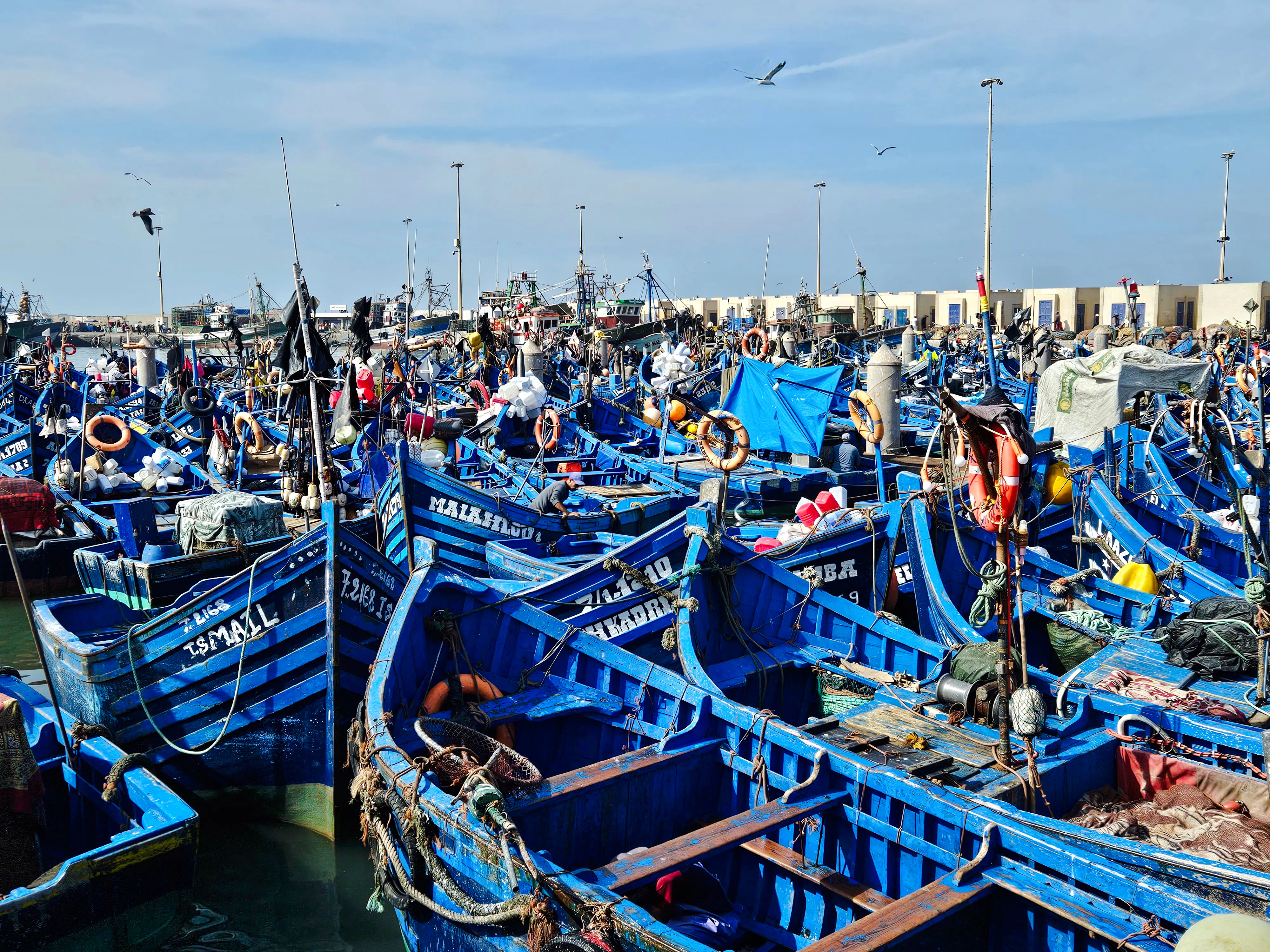 From Marrakech: Essaouira Small-Group Day Trip Image 4