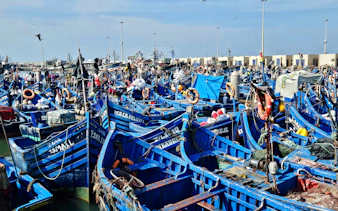 fra marrakech: dagstur til essaouira i liten gruppe-4