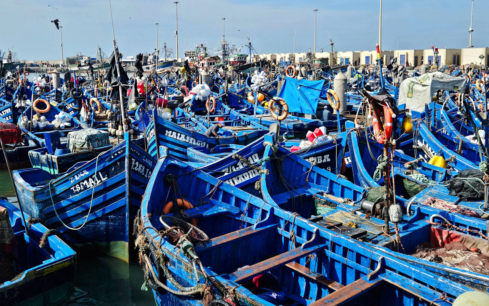 From Marrakech: Essaouira Small-Group Day Trip Image 4