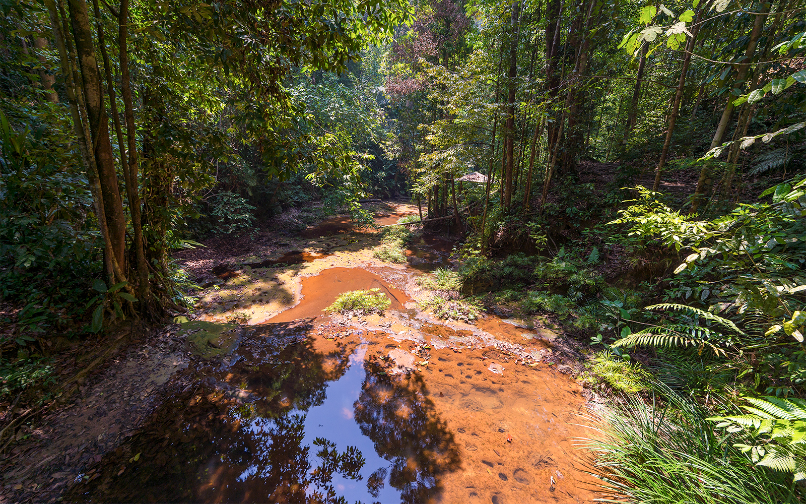 Payah Indah Discovery Wetlands