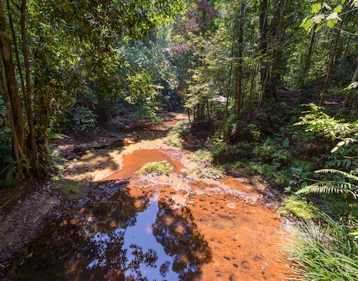 Payah Indah Discovery Wetlands