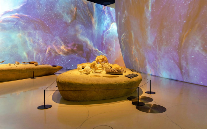 Exhibit of fossils and artifacts at the National Museum of Qatar, Doha.