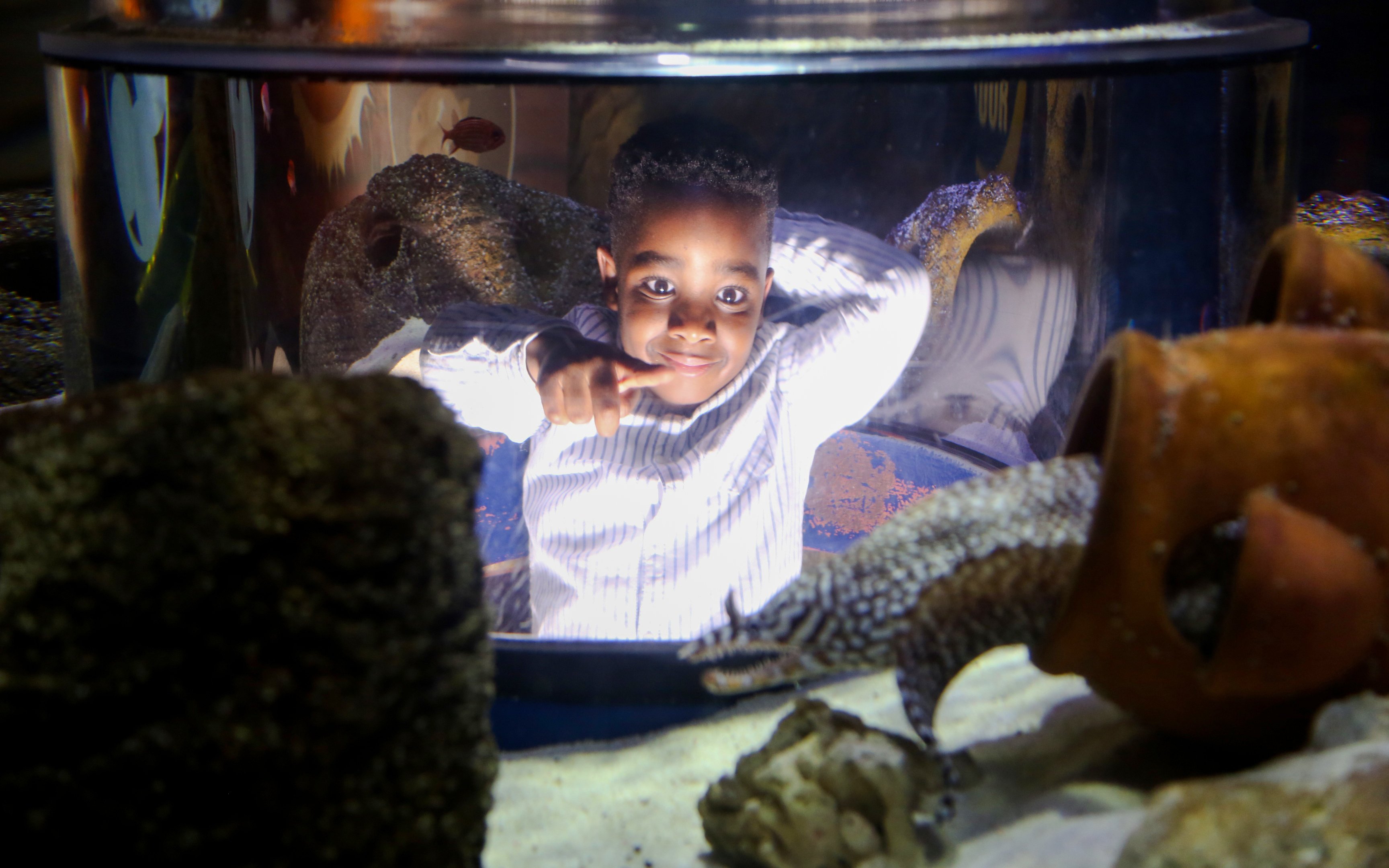 Child interacting with marine life at SEA LIFE Manchester aquarium.