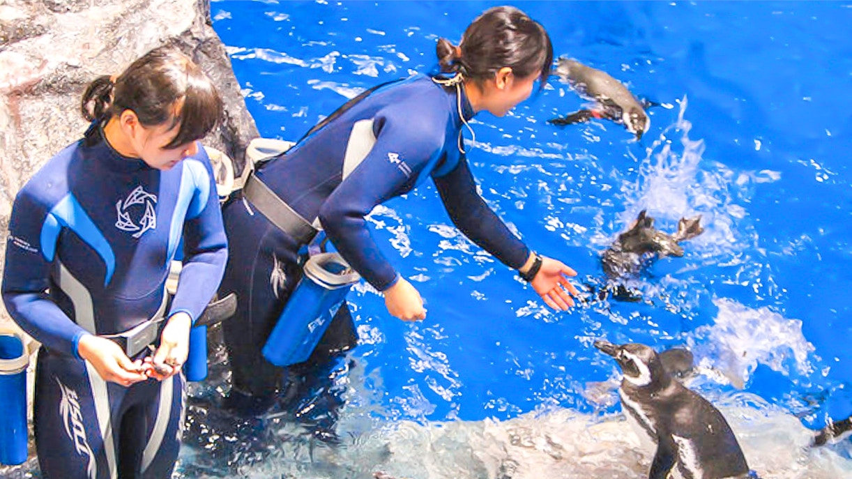 Sumida Aquarium