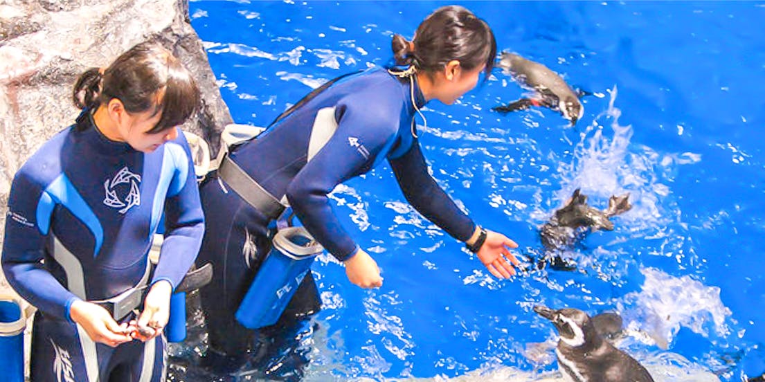 Sumida Aquarium