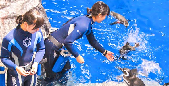 Sumida Aquarium