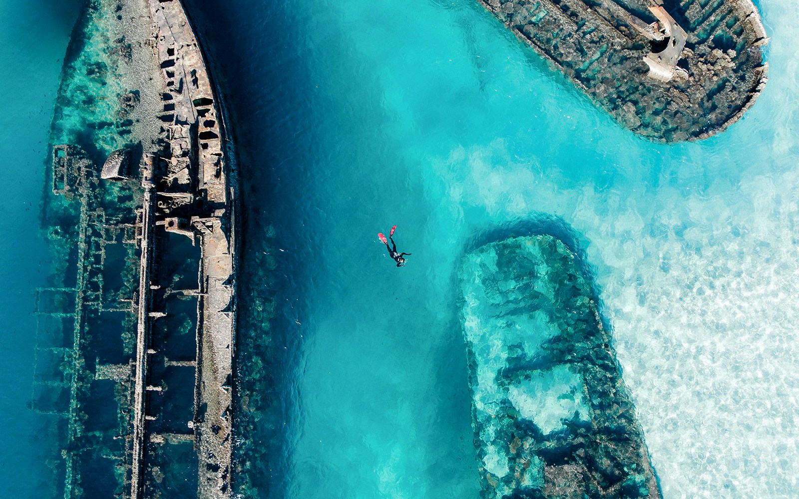 Snorkel the Tangalooma Wrecks