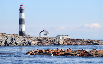 Race Rocks Lighthouse with sea lions on rocky shore, British Columbia.