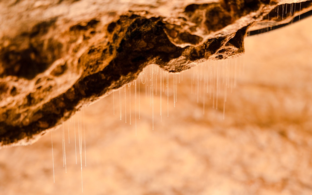 Glowworm threads hanging from cave ceiling in Te Anau Glowworm Caves.