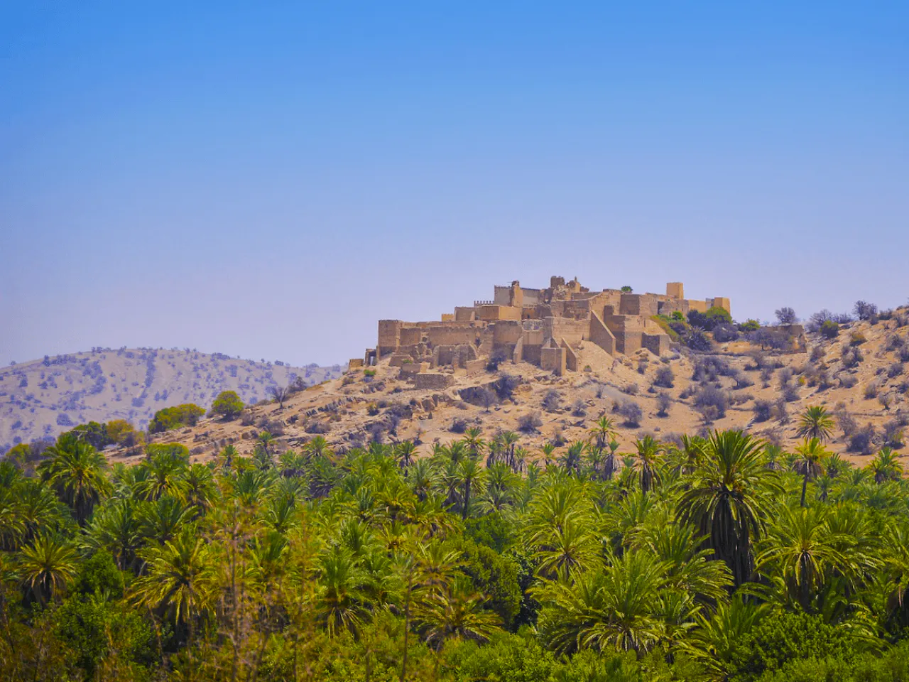 From Taghazout: Taroudant and Tiout Oasis Day Trip with Lunch Image 10