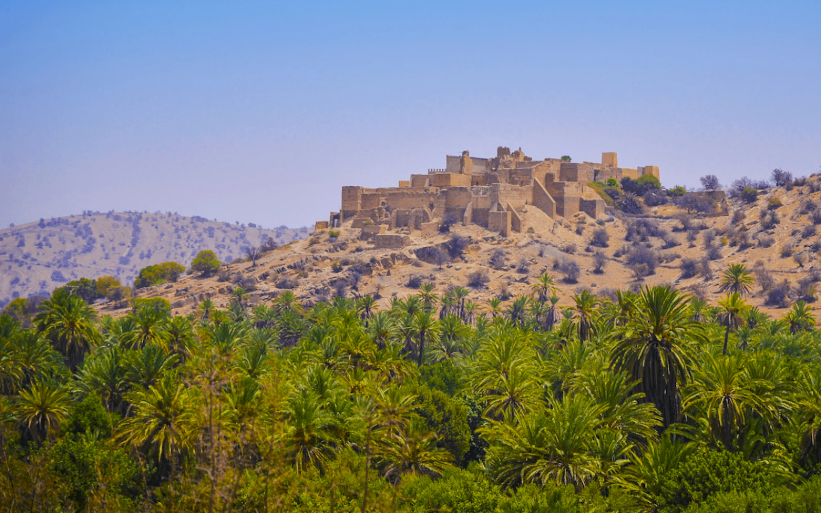From Taghazout: Taroudant and Tiout Oasis Day Trip with Lunch Image 10
