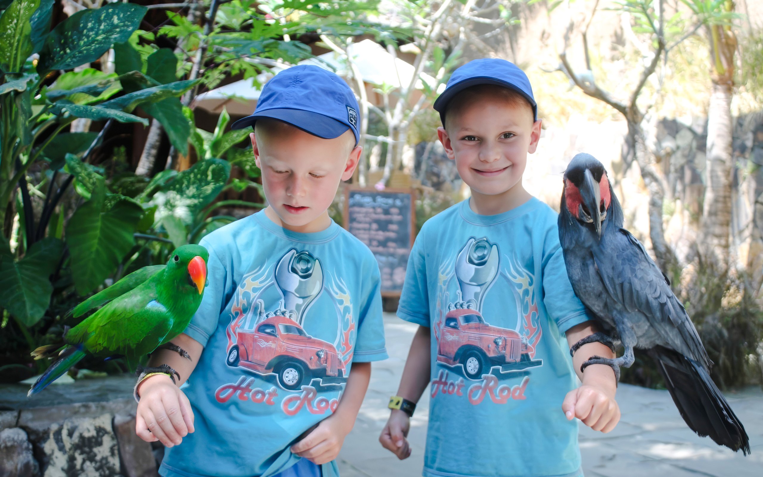 Little kids with colorful birds at Lombok Wildlife Park.