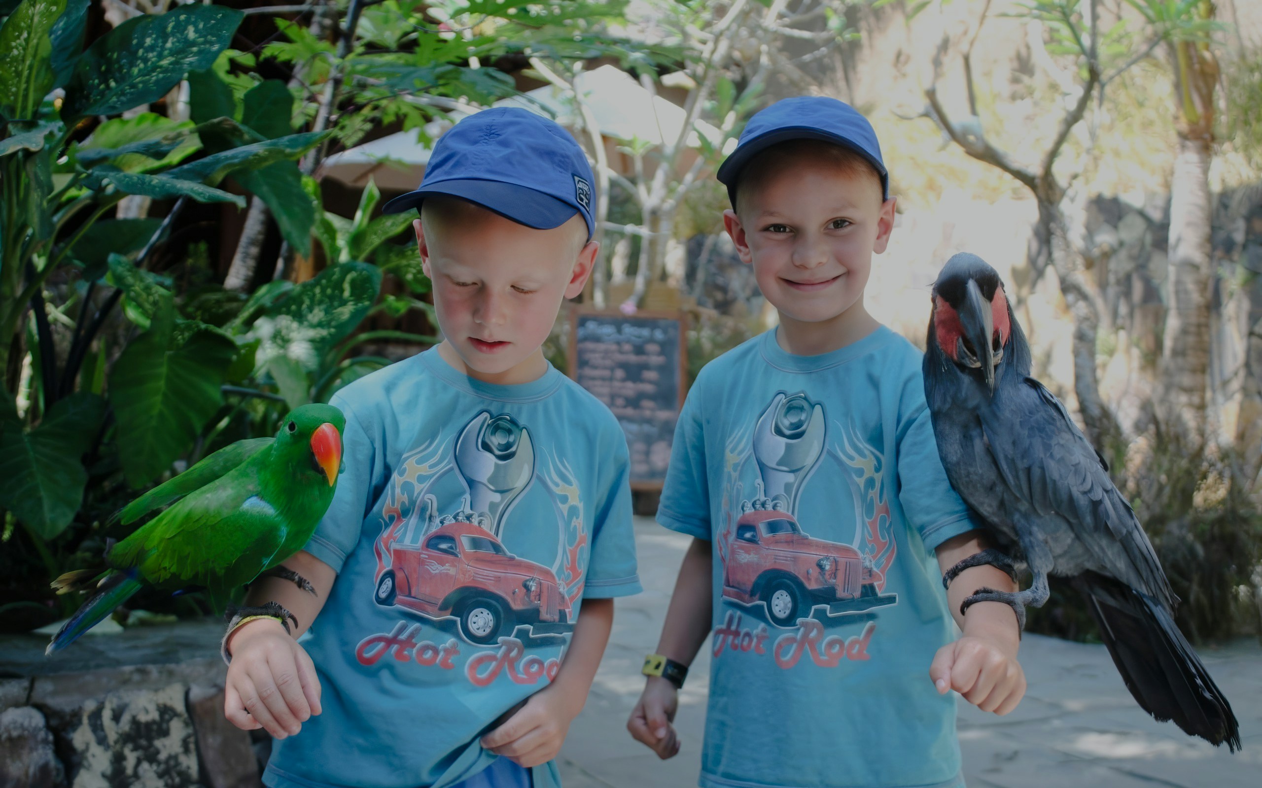 Little kids with colorful birds at Lombok Wildlife Park.